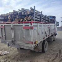 خریدار چوب و درخت خیس و خشک