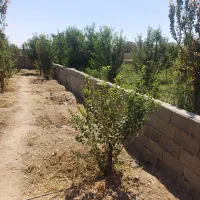 ویلا پاکدشت جمال اباد چهار دیواری|فروش خانه و ویلا|پاکدشت, پاکدشت (مامازند)|دیوار