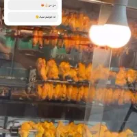 واگذاری مغازه|اجارهٔ مغازه و غرفه|قزوین, |دیوار