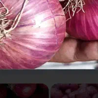 پیاز