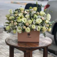 گل و‌گیاه|گل و گیاه طبیعی|مشهد, بهشت|دیوار