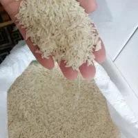 فروش برنج هاشمی|خوردنی و آشامیدنی|تاکستان, |دیوار