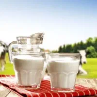 لبنیاتیی شیر