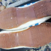 کتونی دبلیو (تایگر)  اورج