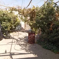 فروش و معاوضه گلخانه ۲۰۰۰متری با تمام امکانات|فروش دفتر صنعتی، کشاورزی، تجاری|خمینی‌شهر, |دیوار