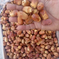 خرما زاهدی|خوردنی و آشامیدنی|قرق, |دیوار