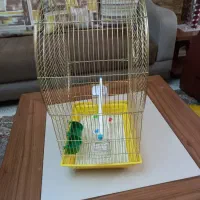 قفس پرنده|لوازم جانبی حیوانات|اهواز, کیانپارس |دیوار