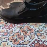 کفش|کیف، کفش، کمربند|تهران, سید خندان (جلفا)|دیوار