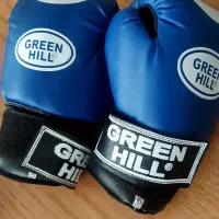 دستکش بوکس،کیک بوکس گیرین هیل