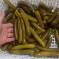 خیارشور ارزان و با کیفیت محصول ونایی