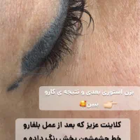 ریمو ریموو پاک کردن تتو تاتو ابرو خط چشم خط لب|خدمات آرایشگری و زیبایی|شاهین‌شهر, عطار|دیوار