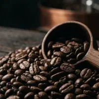 پخش عمده قهوه