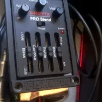 پیکاپ گیتار فیشمن پروبلند fishman