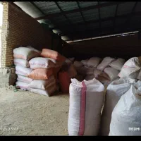 کاه گندم گونی شده