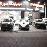 شاگرد نقاش تازه کار