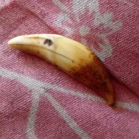 فروش نقره قاچار