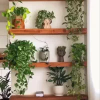 تولیدی باکس شلف زیر تلوزیون|کتابخانه، شلف، قفسههای دیواری|شیراز, اصلاحنژاد|دیوار