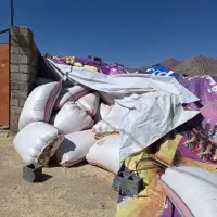 کاه گندم نرم