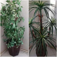 گلدان مصنوعی