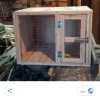 قفس مرغ|لوازم جانبی حیوانات|رشت, گلباغ نماز|دیوار