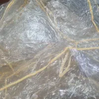 کاور رومبلی برای مبل سلطنتی ۹نفره