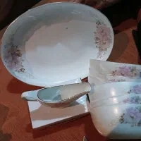 سرویس غذا خوری|ظروف سرو و پذیرایی|تهران, سنگلج (شاپور)|دیوار