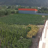 زمین و باغ|فروش زمین و ملک کلنگی|خرم‌آباد (تنکابن), |دیوار