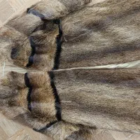 کاپشن خز|لباس|مشگین شهر, |دیوار