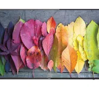 تلوزیون سام ۵۵ اسمارت 4k کم کارکرد با کارتن