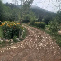 اجاره خونه کاهگلی سنتی|اجارهٔ کوتاه‌مدت ویلا و باغ|کیاسر, |دیوار