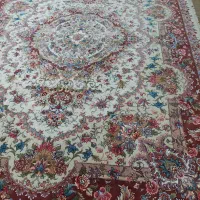 خطیبی ۳در ۴ خاصا بافت عظیمی