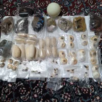 انواع سنک مهرهای خاص وکمیاب