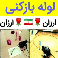 لوله بازکنی ولیعصر باغمیشه الگلی آبرسان تامنظریه٪|خدمات پیشه و مهارت|تبریز, |دیوار