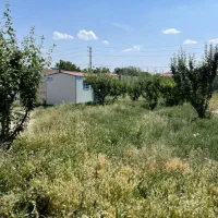 باغ چهاردیواری ۱۵۰۰متر دربهترین لوکیشن دهشادشهریار|فروش دفتر صنعتی، کشاورزی، تجاری|تهران, تهرانسر مرکزی|دیوار