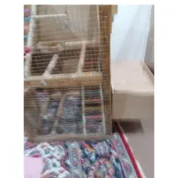 قفس پرنده|لوازم جانبی حیوانات|اهواز, اهواز|دیوار