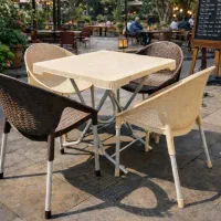 میز و صندلی ناهارخوری پلاستیکی فلور ۷۴۲ باغی