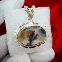 شجر تکدرخت طبیعی کلکسیونی