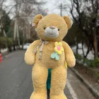 ولنتاین عروسک ولنتاین هدیه ولنتاین خرس ولنتاین