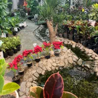 نیازمند همکار خانم جهت کار در گلستان یاس