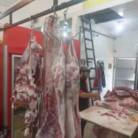 استخدام نیروی آقا در قصابی