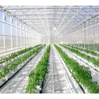 گلخانه هیدروپونیک شبستر|فروش دفتر صنعتی، کشاورزی، تجاری|شبستر, |دیوار