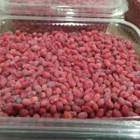 زرشک دونه شده بادست بدون دم و برگ قیمت هرکیلو۲۰۰|خوردنی و آشامیدنی|مشهد, ترمینال|دیوار