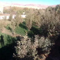 1300متر باغ|فروش خانه و ویلا|مشهد, کارده|دیوار