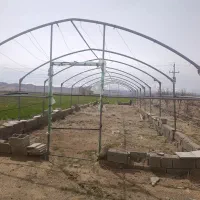 اسکلت گلخونه