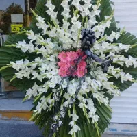 پخش تاجگل تسلیت پایه عزا ترحیم ختم فوتی۲متری از900|خدمات پذیرایی، مراسم|کرج, گلشهر|دیوار