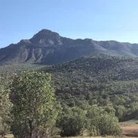 زمین کشاورزی دربخش سرفیروز آباد
