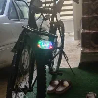 دوچرخه 26 ویوا