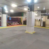 همکاری با مربی همراه ۲  شاگرد|استخدام آموزشی|تهران, مرزداران|دیوار