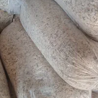 چغندر برای گاو گوساله گوسفند و بره|حیوانات مزرعه|اردبیل, |دیوار