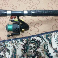 لنسر ماهیگیری